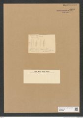 Diatomeae indet. Zeichnungen Sammlung Grunow Nr. 4398 (NHMW-BOT-W0379698)
